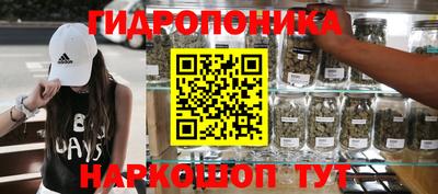 гидра Пушкино