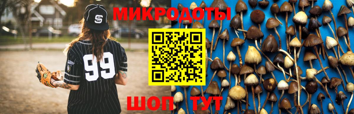 Аргун  Галлюциногенные грибы Cubensis  Вход с VPN 